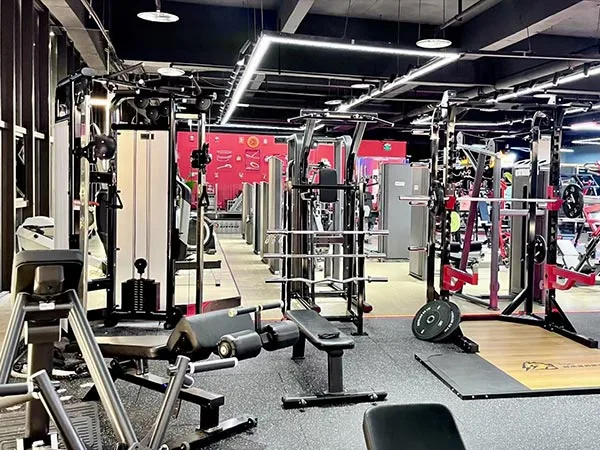 Commercial Gym