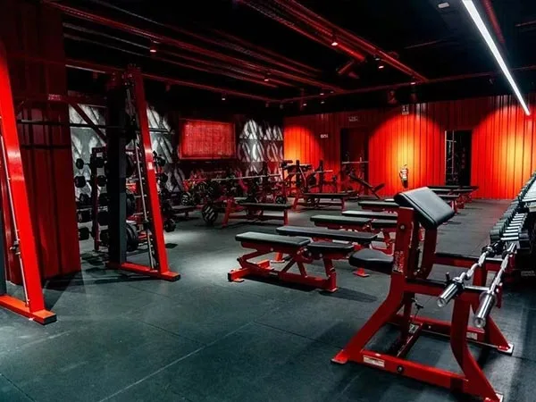 Commercial Gym