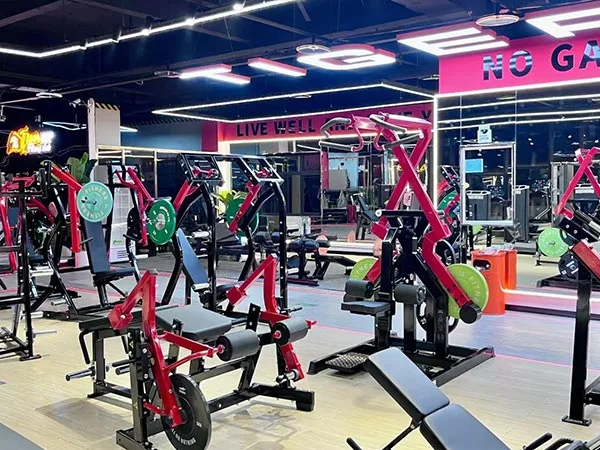 Commercial Gym